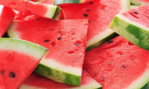 elf bar flavours watermelon
