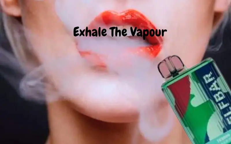How To Use Elf Bar TE6000 Step By Step: Exhale The Vapour